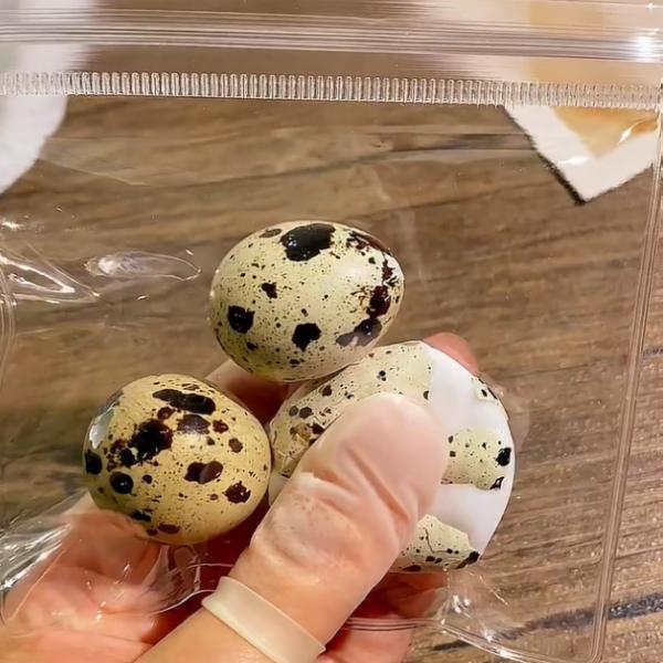 Egg Squishy – Realistic Egg & Quail Egg Squeeze Stress Relief Toy